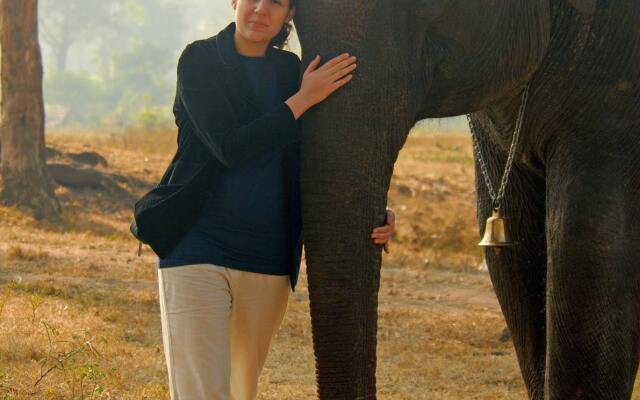 Evolve Back, Kabini