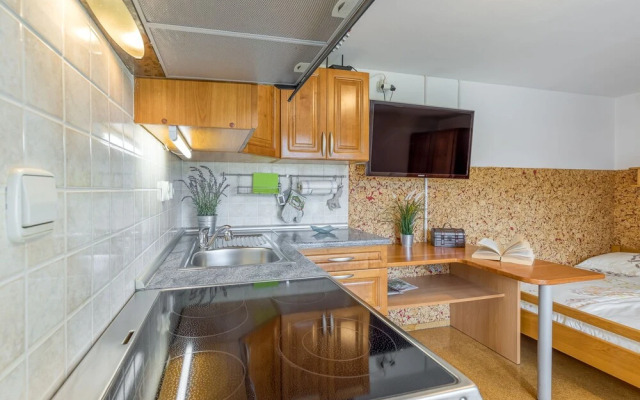 River View Suite Mlinar Private Beach