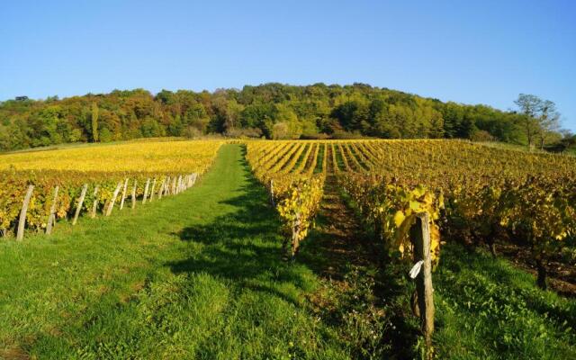 Domaine de Saint Loth'