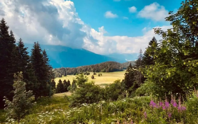 Serene Alpine Stay for 6 Guests