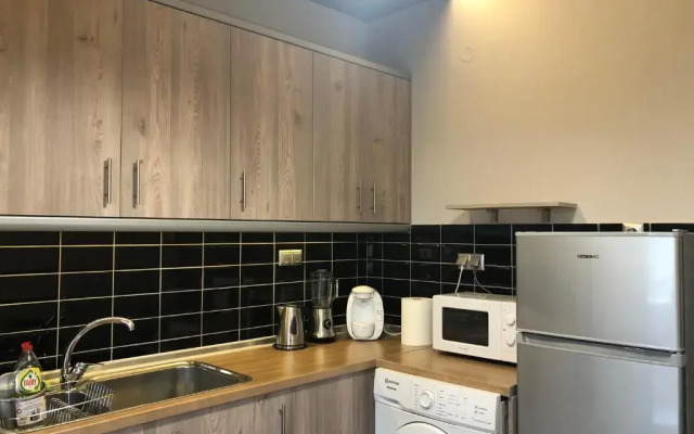 The only luxurious apartment in the center of town