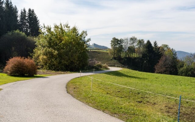 Cozy Holiday Home With Private Swimming Pool In Eberstein