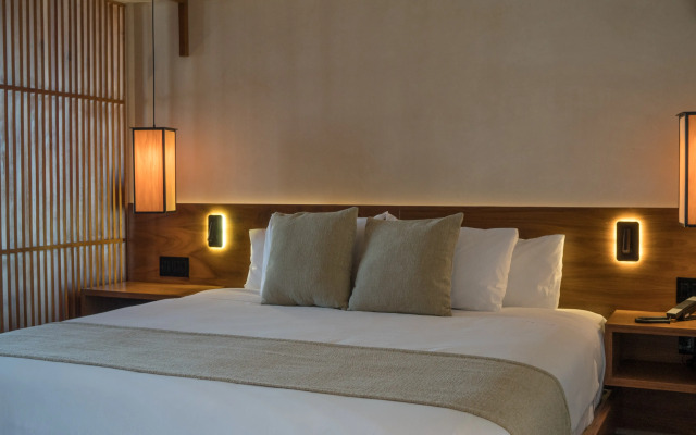 Hive Cancun