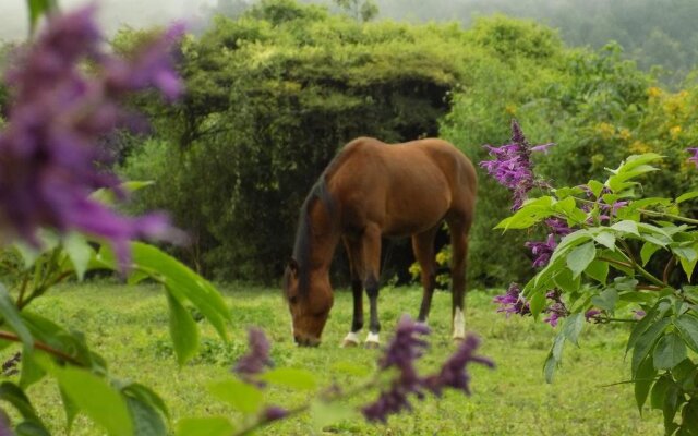 Rancho Hostal La Escondida Eco Park