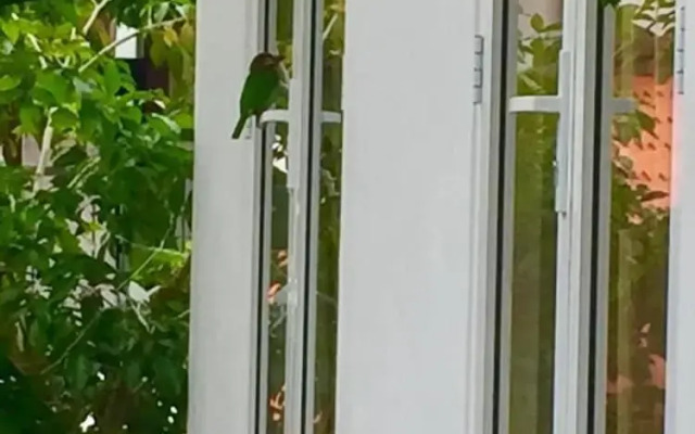 Green Boutique Villa