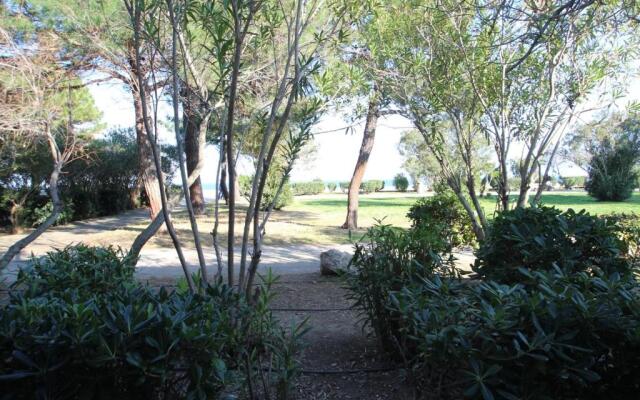 Appartement Argelès-sur-Mer, 2 pièces, 5 personnes - FR-1-309-254