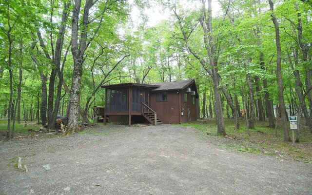 Woods Song - Natures Promise