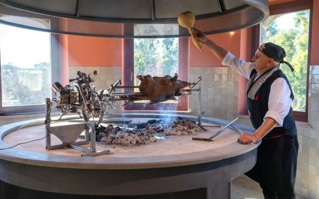 Hotel with swimming pool in Arbus