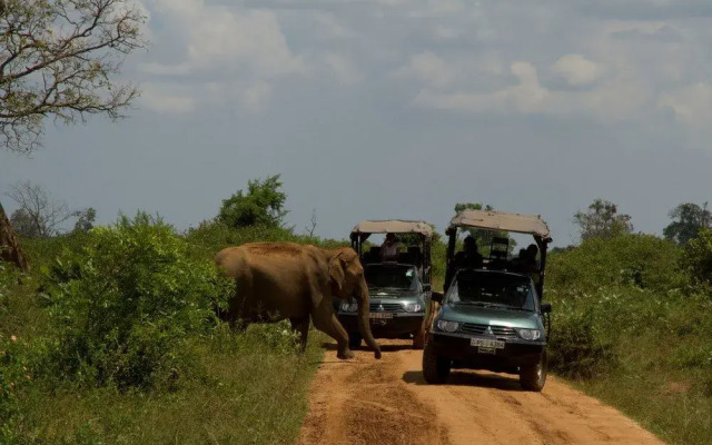 Ruhunu Safari Camping - Udawalawe