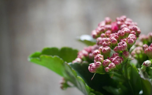 Жилое помещение Терминал