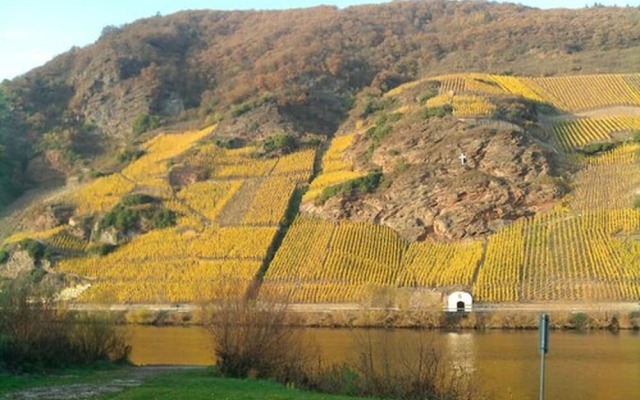 Weingut & Gästehaus Kaufmann-Schneider