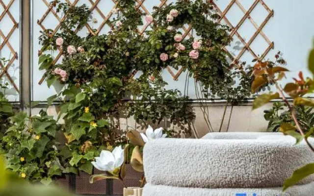 Muxin Flowers Garden Motel