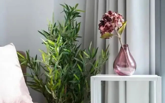 Velvet Luxury Studios in the City Center by BiNobi!