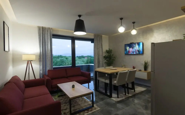 Deluxe Feliciano Apartments
