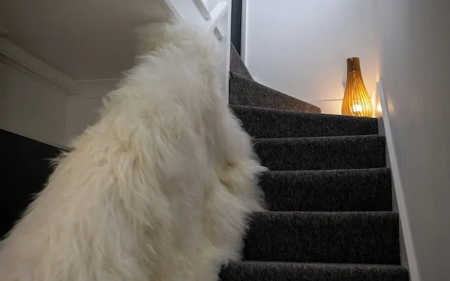 Norwich - House - Sleeps 7 - Parking - Garden