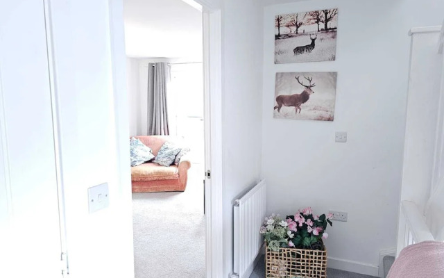 Ipswich - 3 Beds - Sleeps 6 - Private Garden