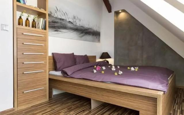 Old Town Apartment Spilberk