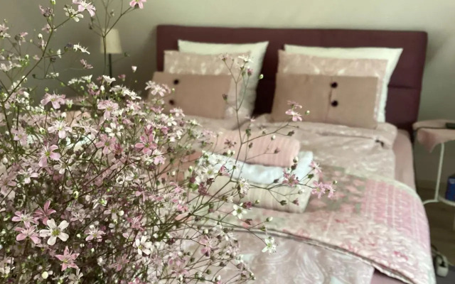 Rooms for Rent near Budapest