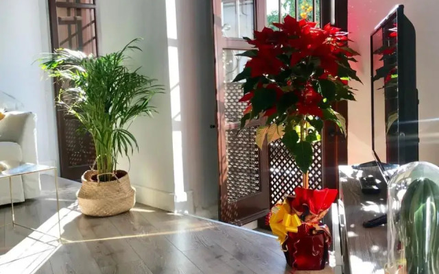 Apartamento San Fernando 27