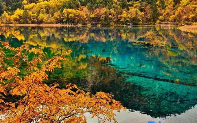 Pufeng • Lishe Resort Villa (Aba Prefecture Jiuzhaigou)