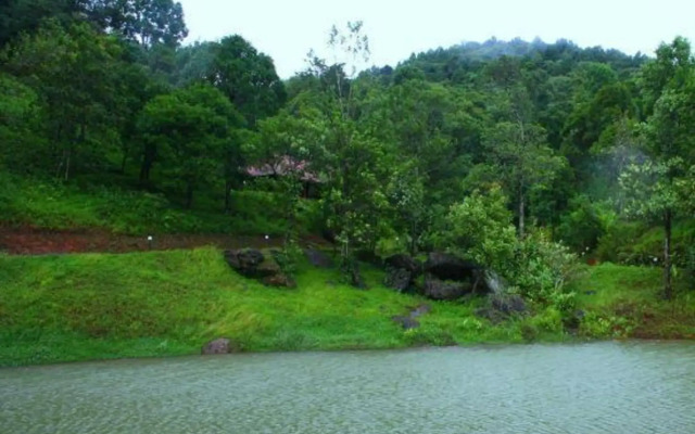 Rain Country Resort