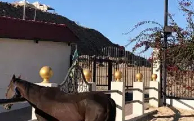 Rohara Resort