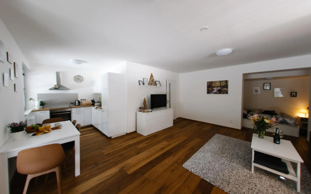 Apartmán s nádherným výhledem v centru Harrachova