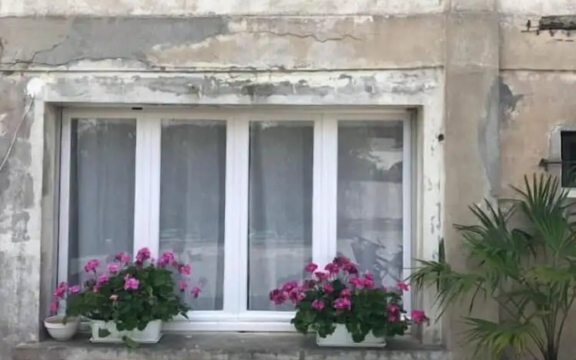 Surf Hostel Hossegor