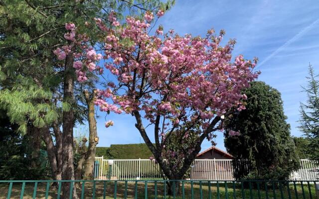 Brit Hotel Dak’Hôtel