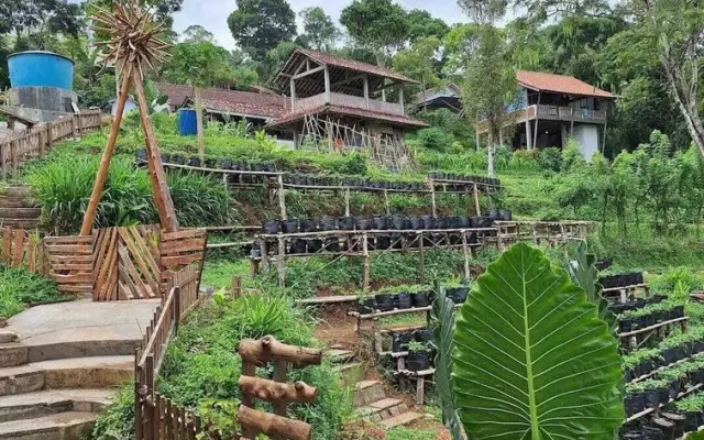 Menoreh Farm Stay Samigaluh Kulonprogo
