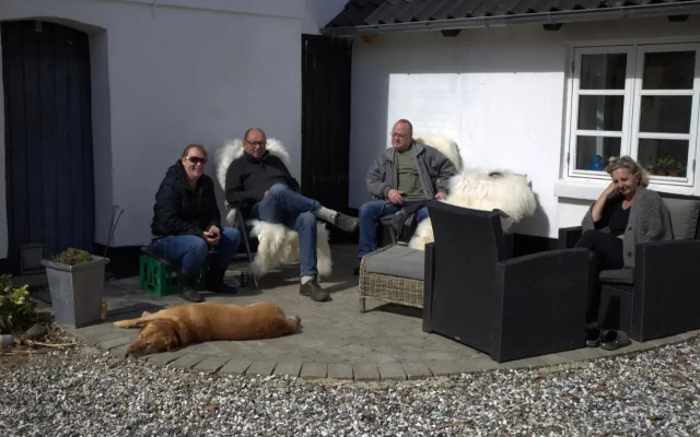 Stutteri Skandi Hest