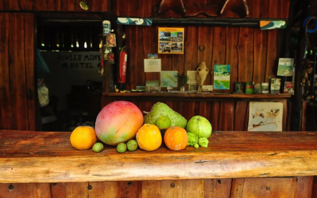 The Howler Monkey Hotel