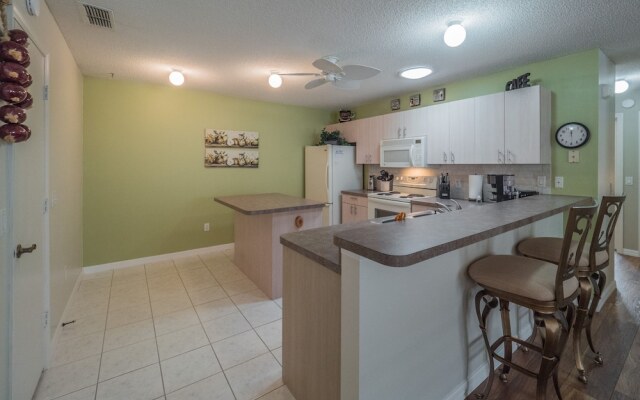 Hildalgo 489 by White Pelican VR