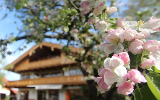 Appartementhaus Schirsner