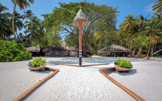 Yash Nature Resort