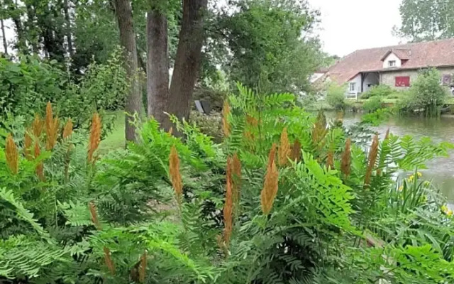 Le Moulin de Saubrigues