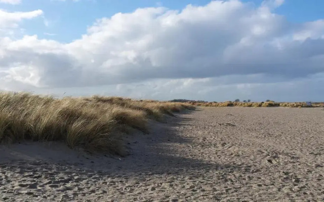 Haus Am Teich - Teichblick