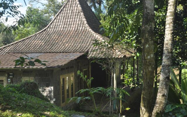 Tepi Sawah Lodge