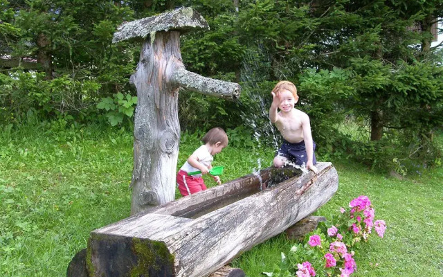 Pension - B&B Elisabeth Radstadt