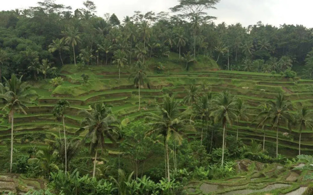 Pangkung House