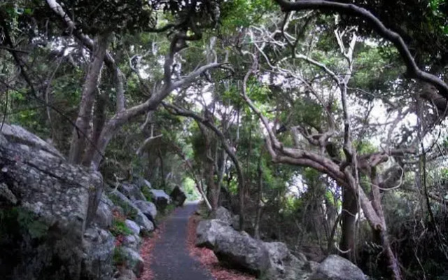 Koala Cove Holiday Apartments