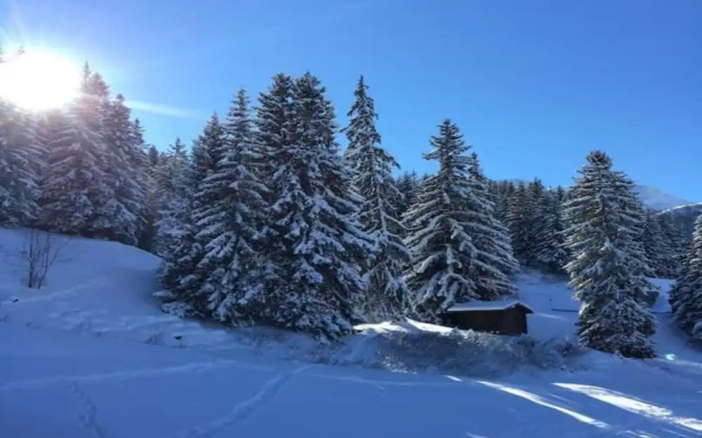Apartment in Doucy With Mountain Views