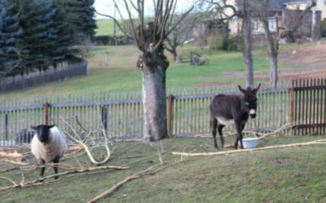 Regenbogenhof Rudelswalde