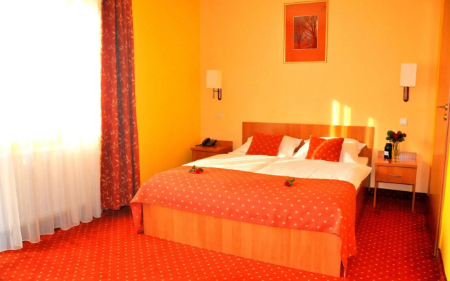Hotel Solny