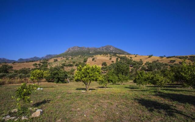 Casa Rural Huerta La Terrona