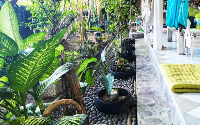 Shady Grove Healing Centre and Homestay