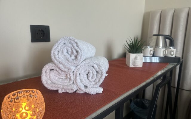 D Twins Airport Hotel