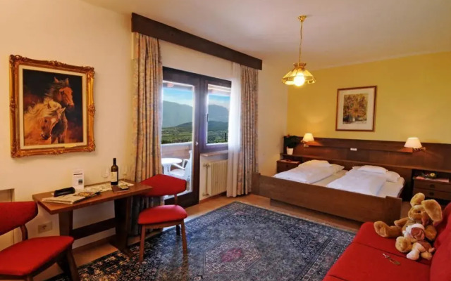 Hotel Steinegger