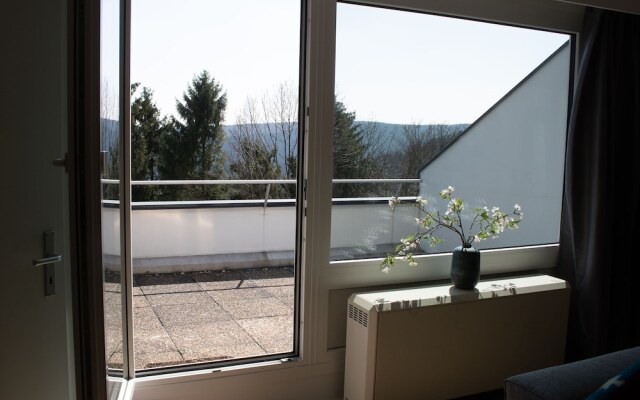 Modern Apartment in Winterberg With Swimming Pool