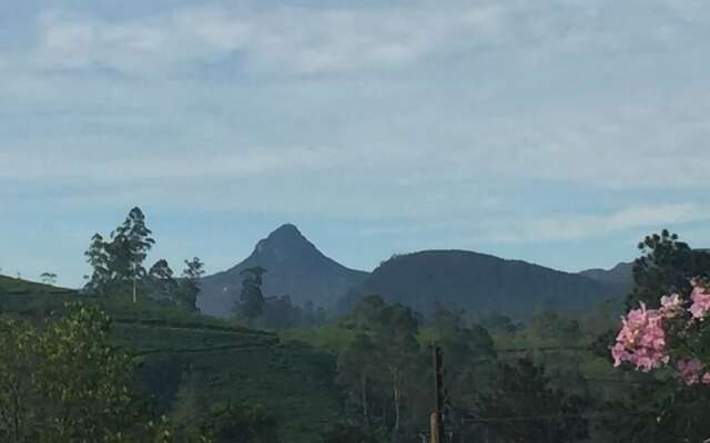 Yoho Jai Bangalow
